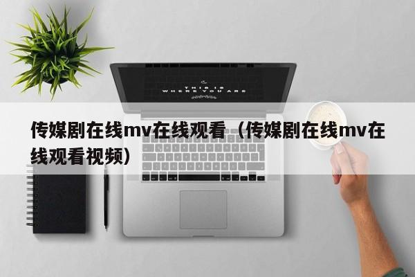 传媒剧在线mv在线观看（传媒剧在线mv在线观看视频）