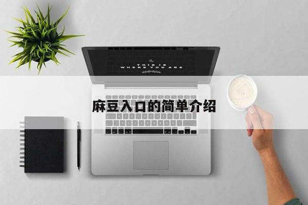 麻豆入口的简单介绍