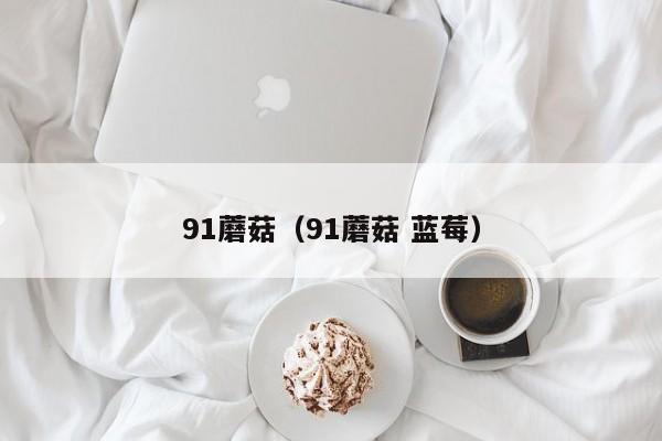 91蘑菇（91蘑菇 蓝莓）