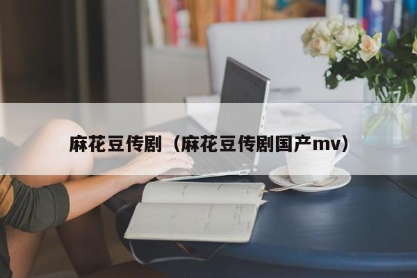 麻花豆传剧（麻花豆传剧国产mv）
