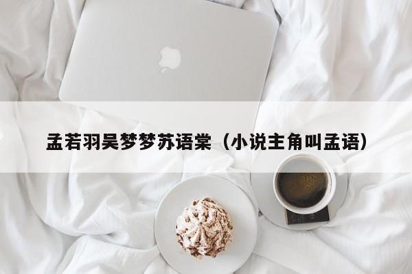 孟若羽吴梦梦苏语棠（小说主角叫孟语）