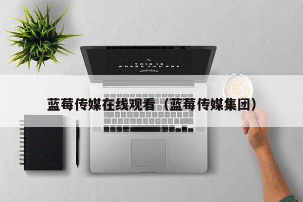 蓝莓传媒在线观看（蓝莓传媒集团）