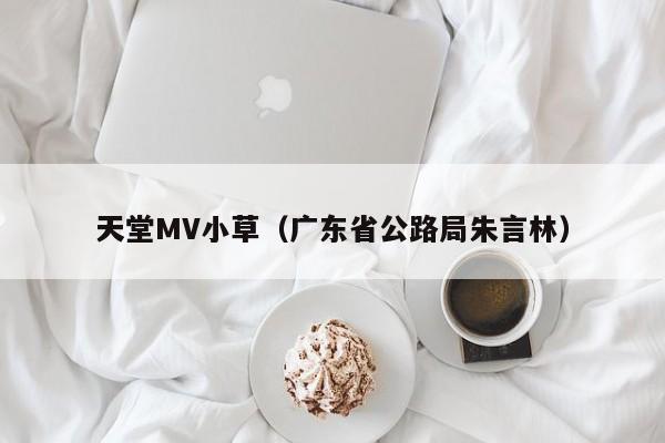 天堂MV小草（广东省公路局朱言林）