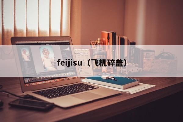 feijisu（飞机碎盖）
